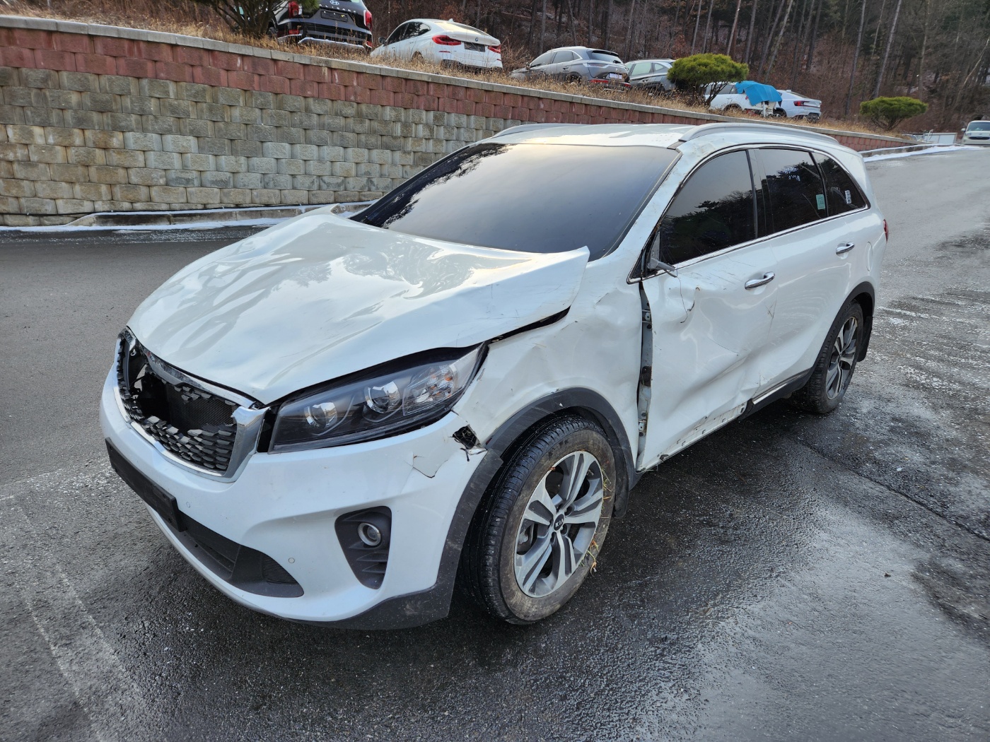 2018 Kia The New Sorento