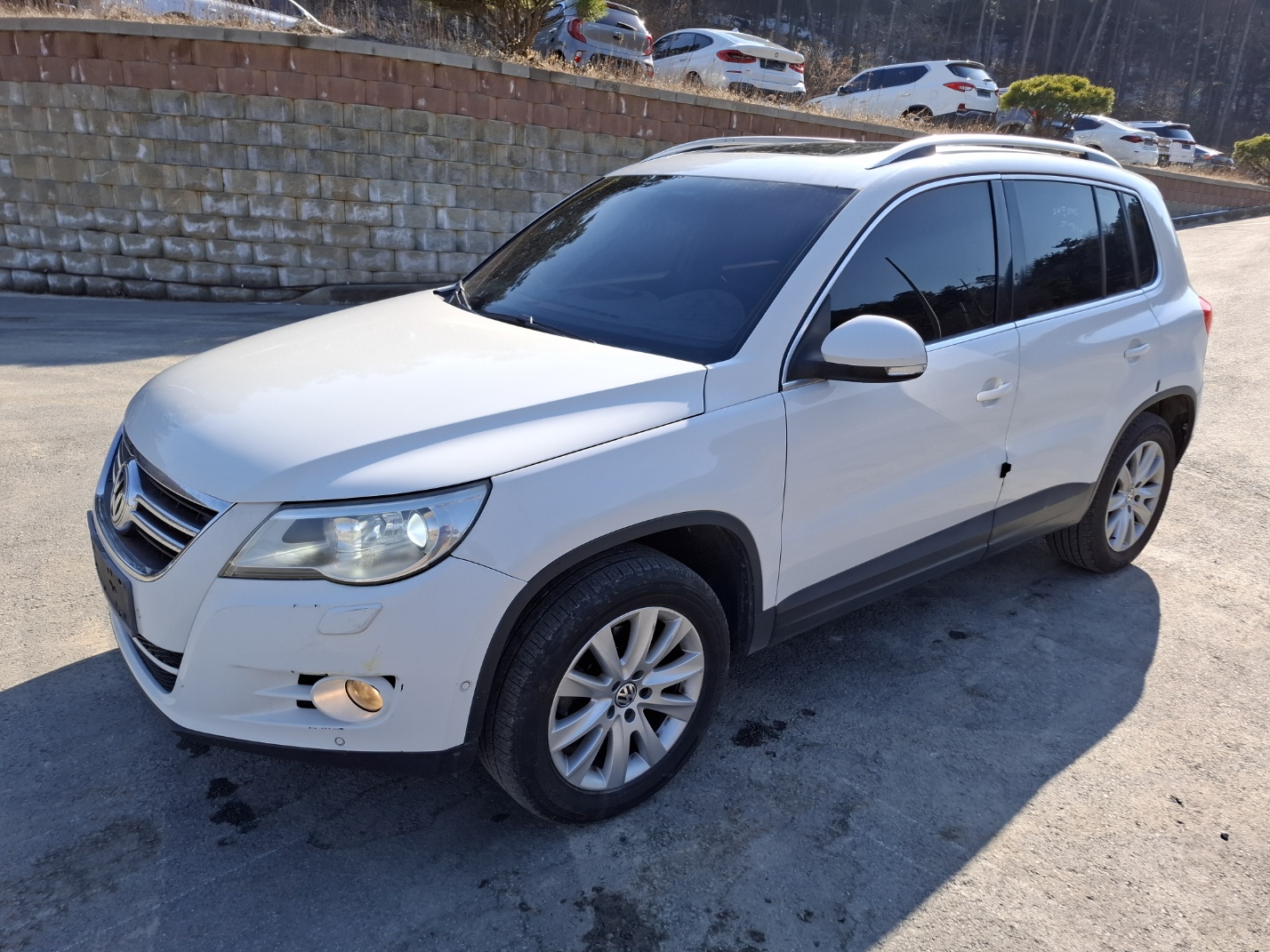 2009 Volkswagen Tiguan
