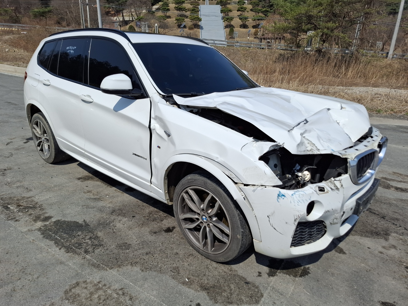 2017 BMW X3 (F25) 