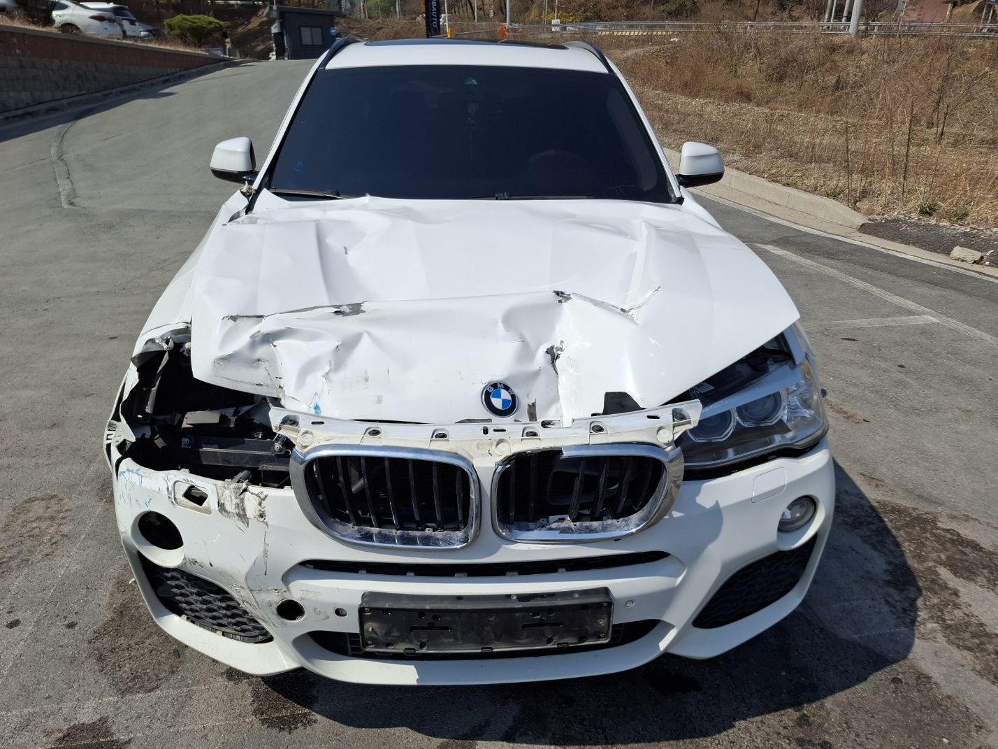 2017 BMW X3 (F25) 