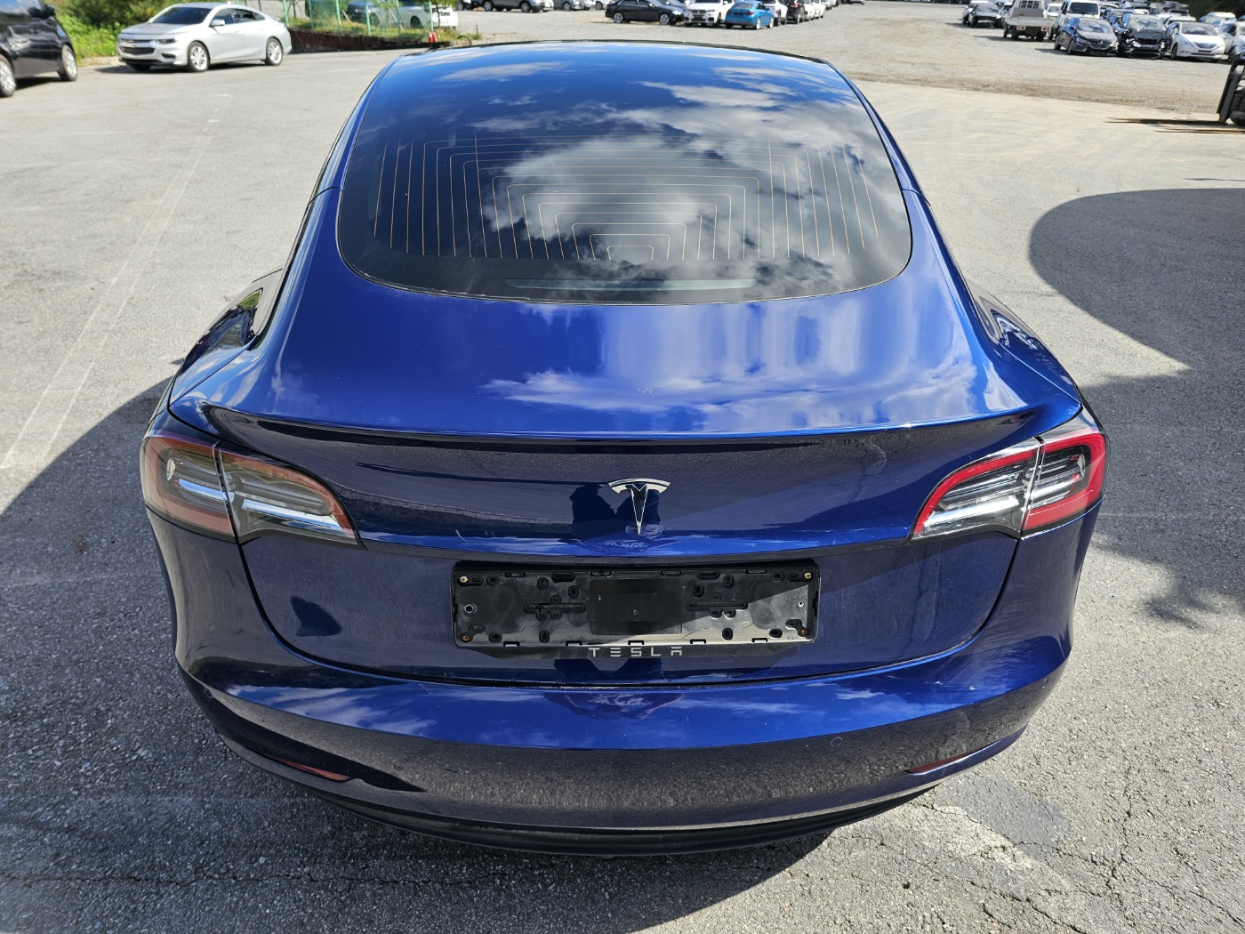 2020 Tesla MODEL 3 Standrad Range Plus