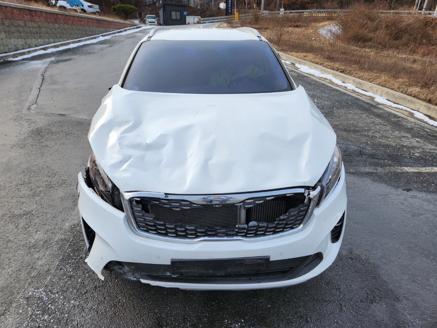 2018 Kia The New Sorento