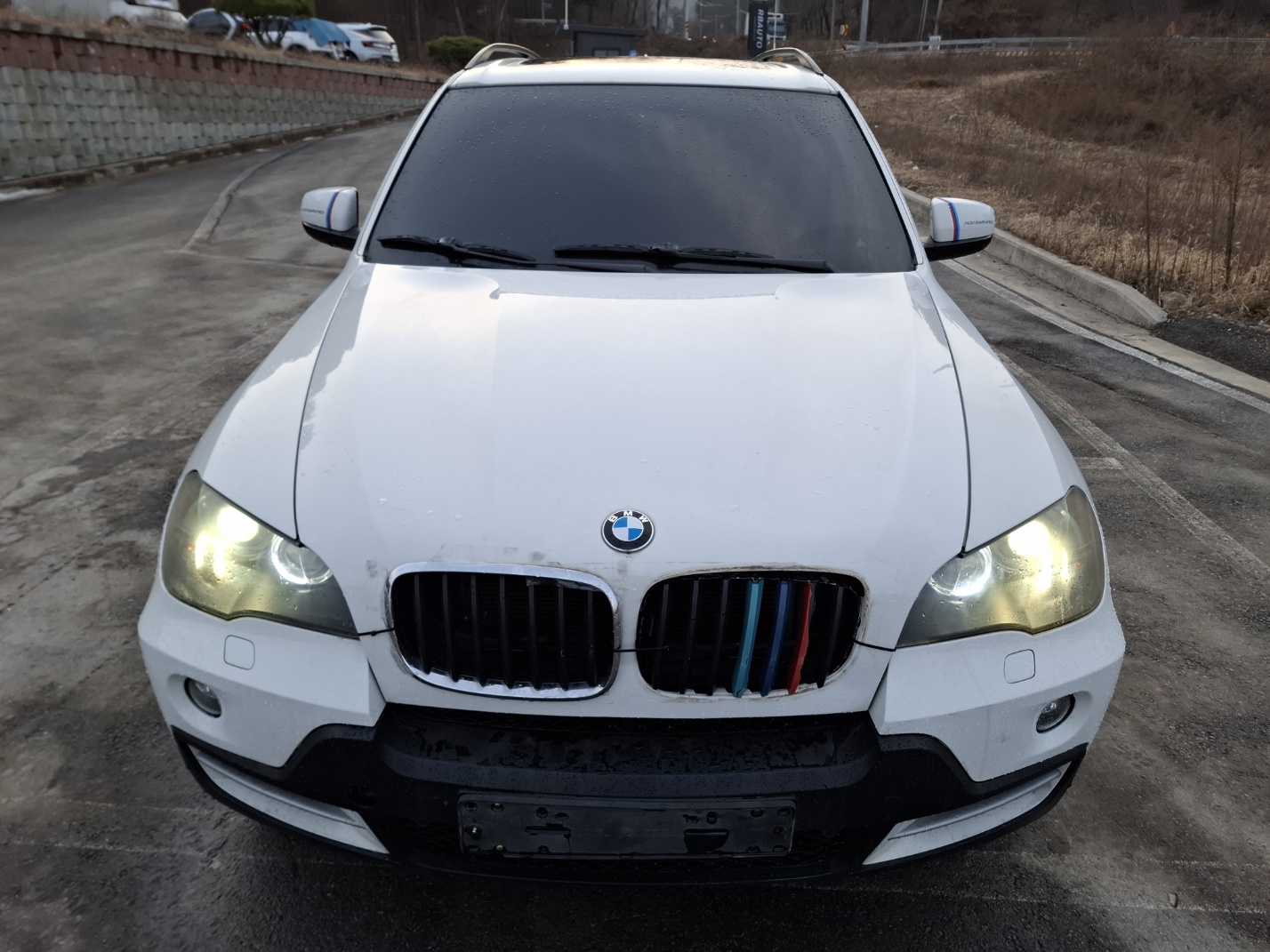 2009 BMW X5 (E70)