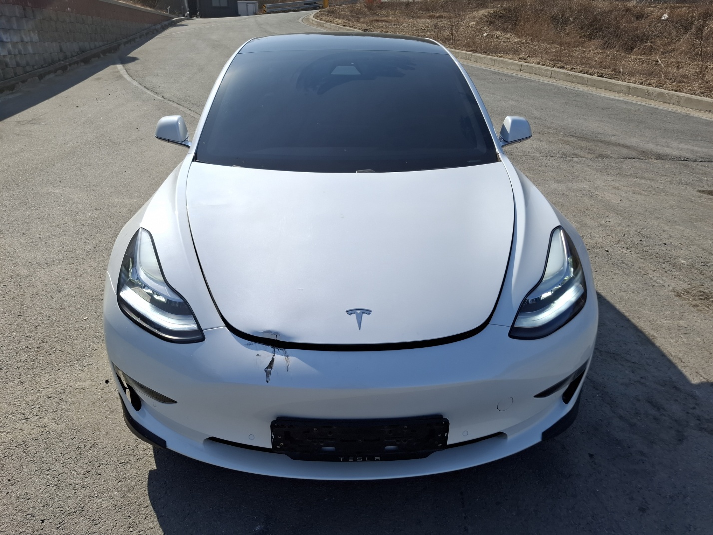 2019 Tesla MODEL 3 Standrad Range Plus