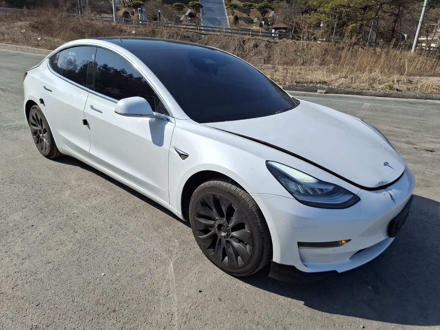 2019 Tesla MODEL 3 Standrad Range Plus