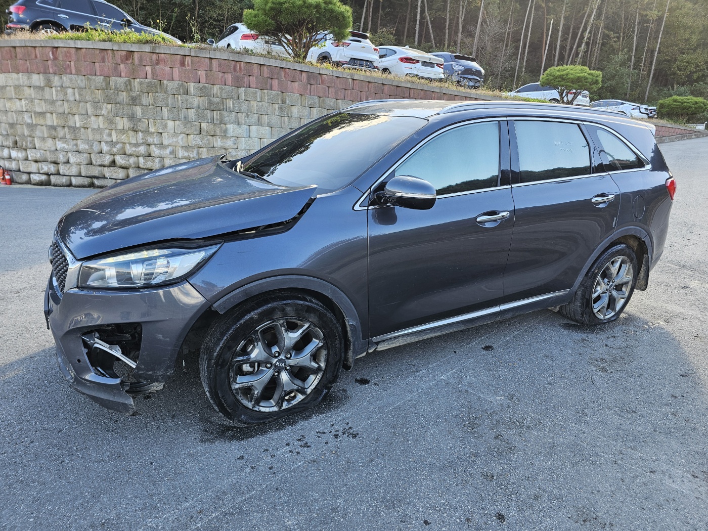 2015 Kia All New Sorento